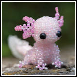 Axolotl